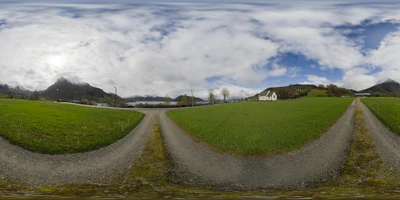 rosendal field 2015 — download