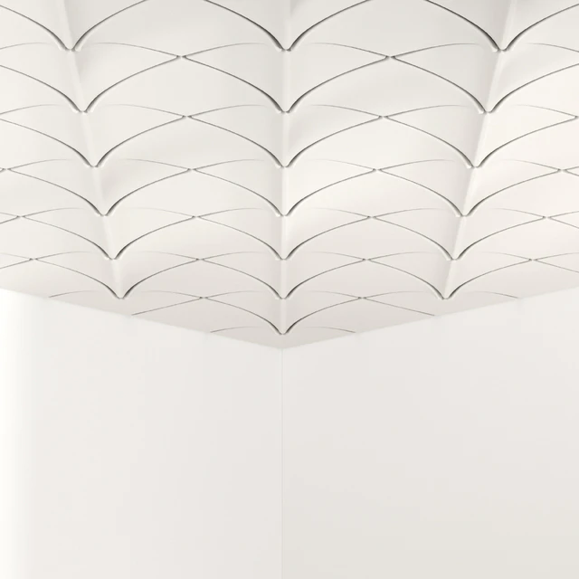 Ceiling No 005 — Download