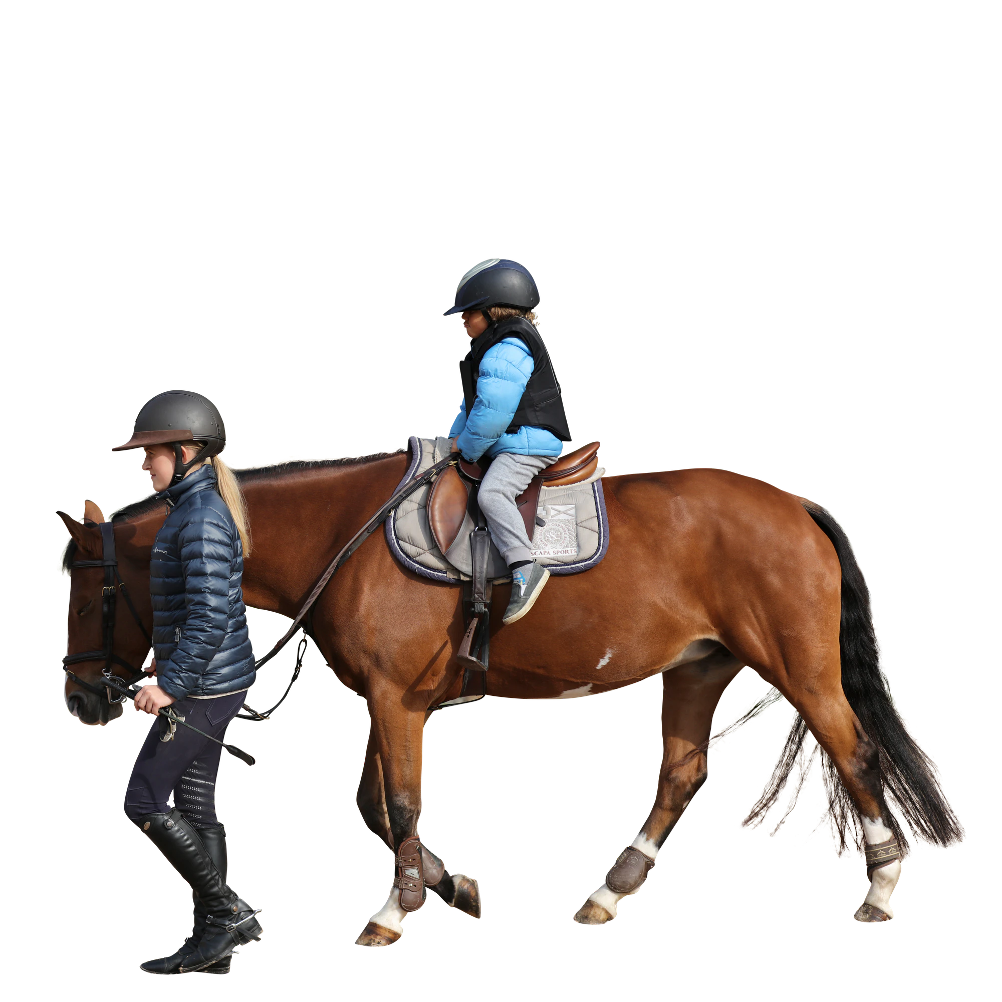 027 — Скачать