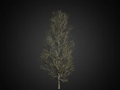 020 — скачать