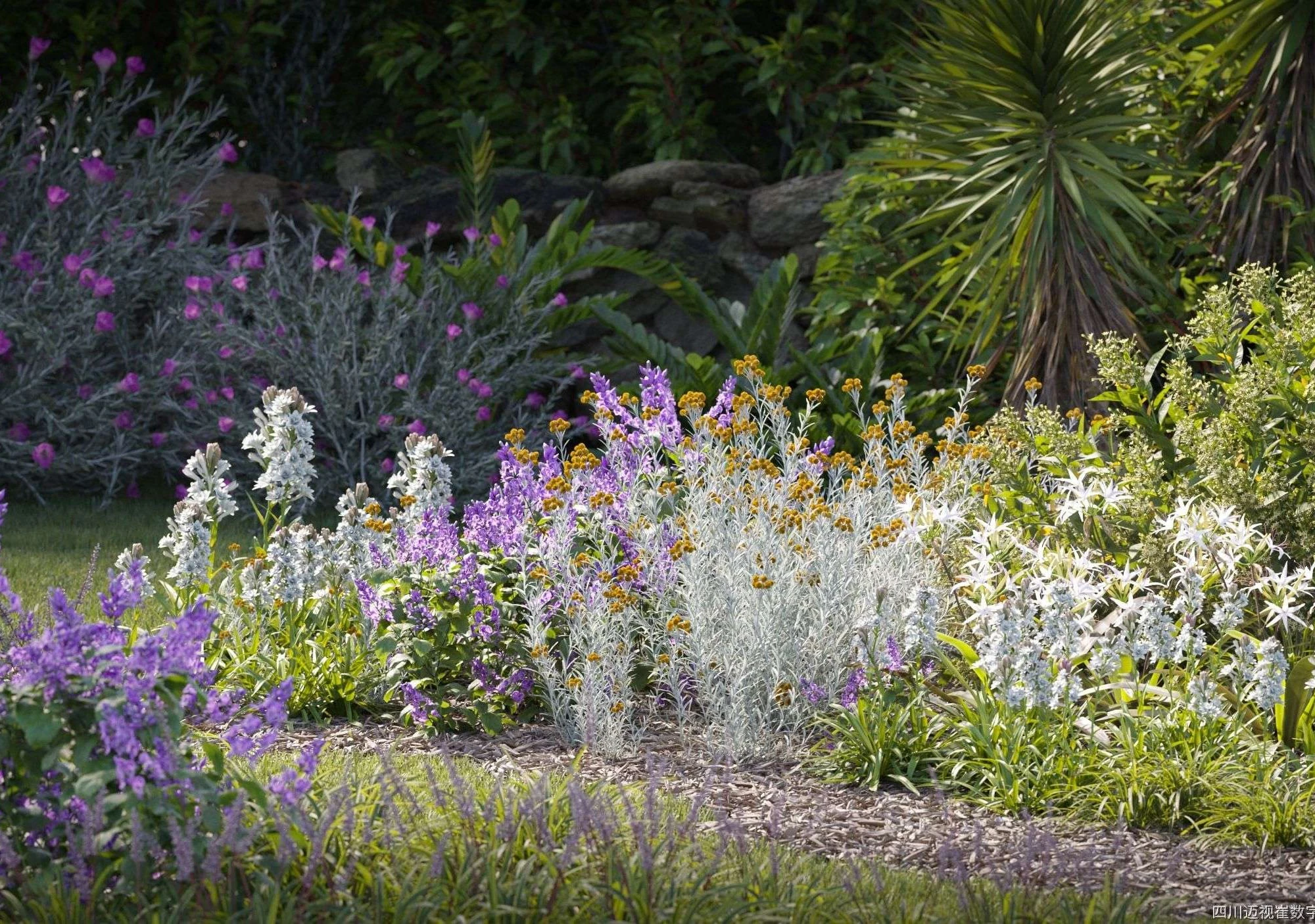 plant models vol 135 — Скачать