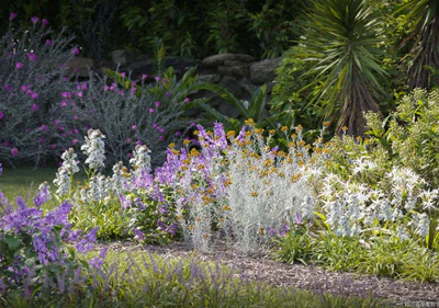 plant models vol 135 — download