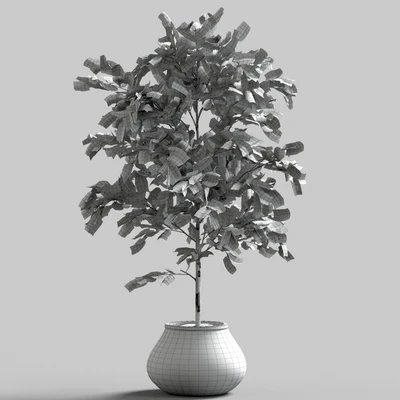 Branches in vases 28 — Вид 2