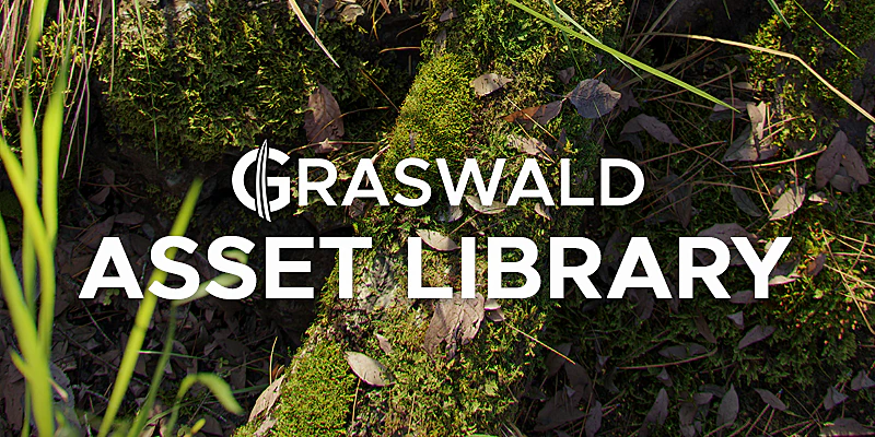 asset library — Download