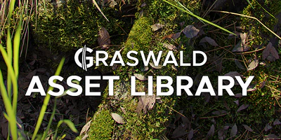 asset library — download