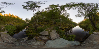 roros forest 2015 — download