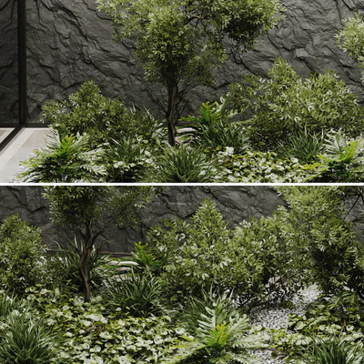 indoor plant set 50 — Вид 2