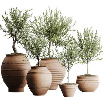 outdoor plant set 06 — скачать