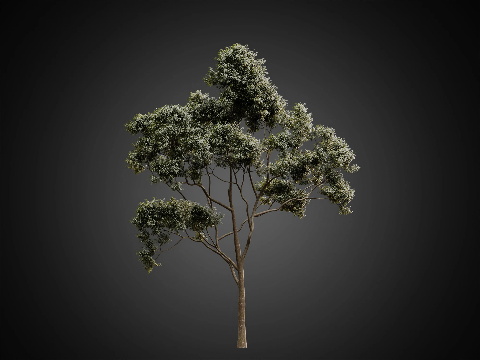 001 — Скачать