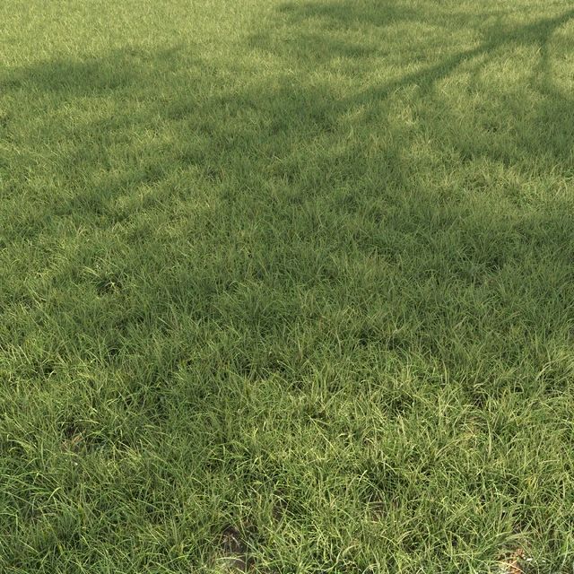 Field grass 02 — Descargar