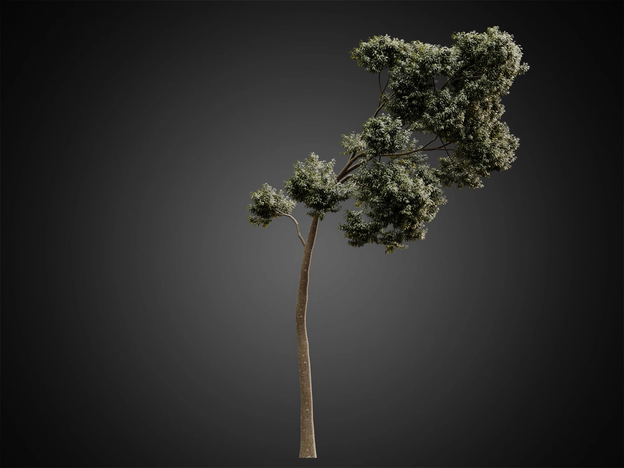 004 — Скачать