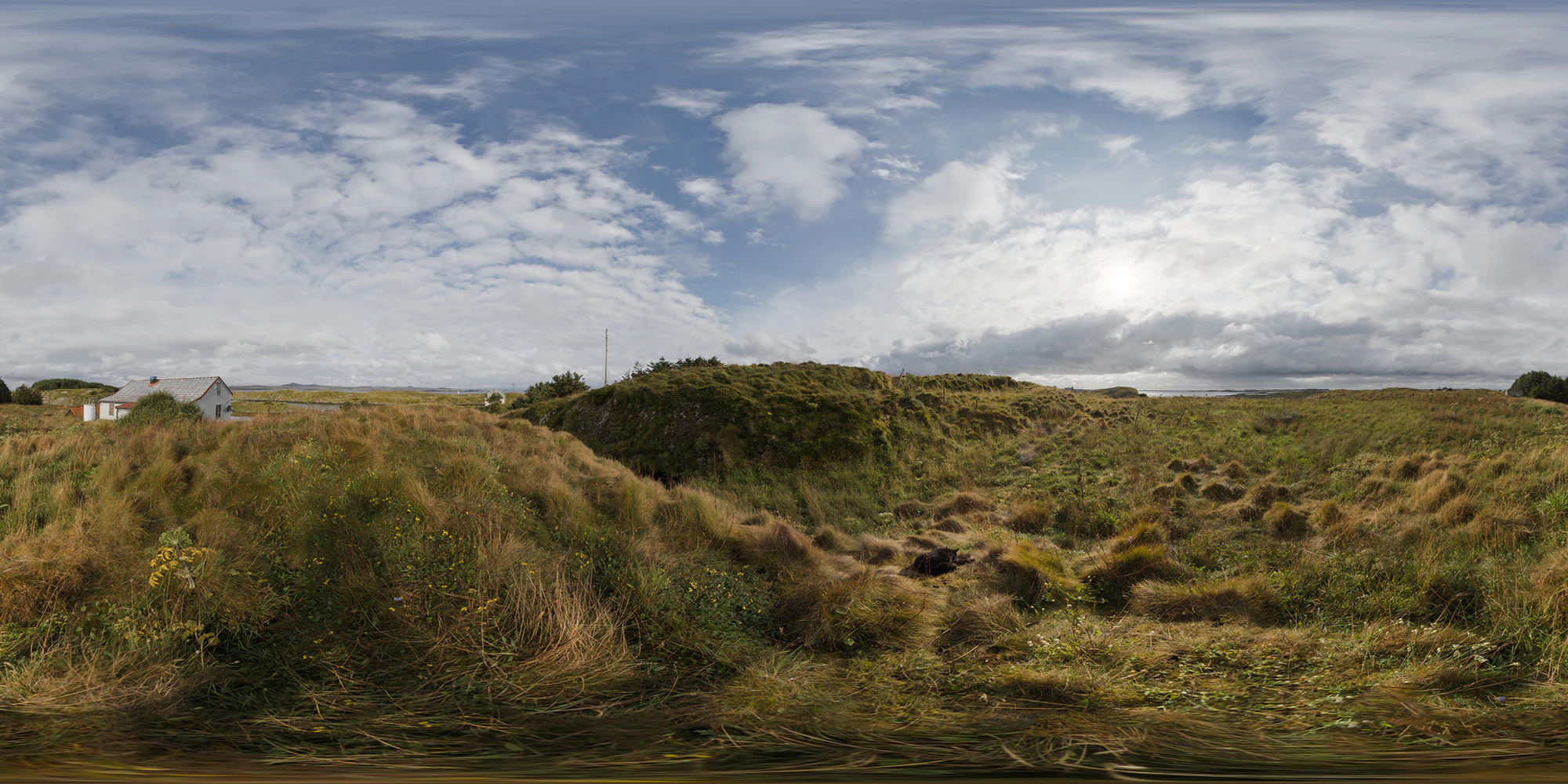 sognfields 01 2014 — Download