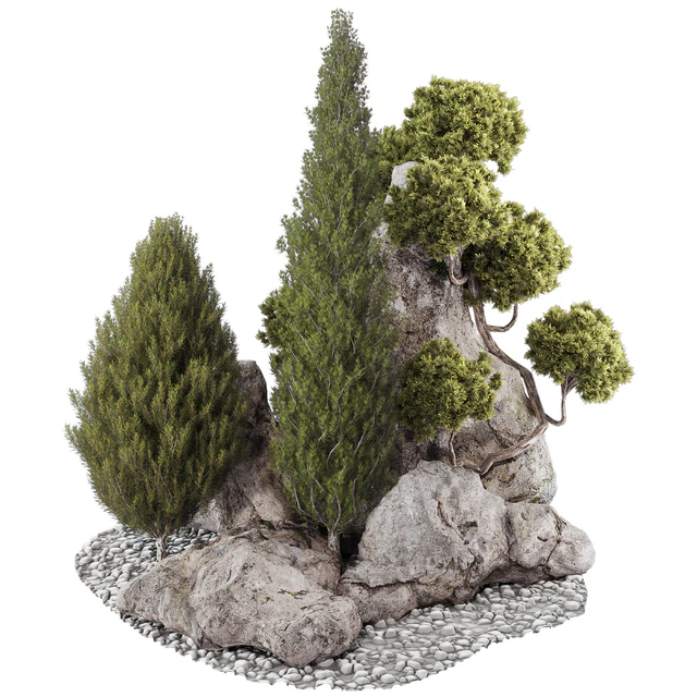 backyard and landscape pine tree garden and rocks 269 — Скачать