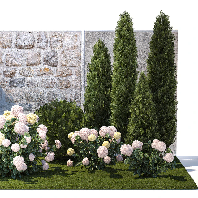 Collection of plants garden with bushes and trees for landscape design with thuja, cypress, flowering Hydrangea white. Set 1378. — Descargar