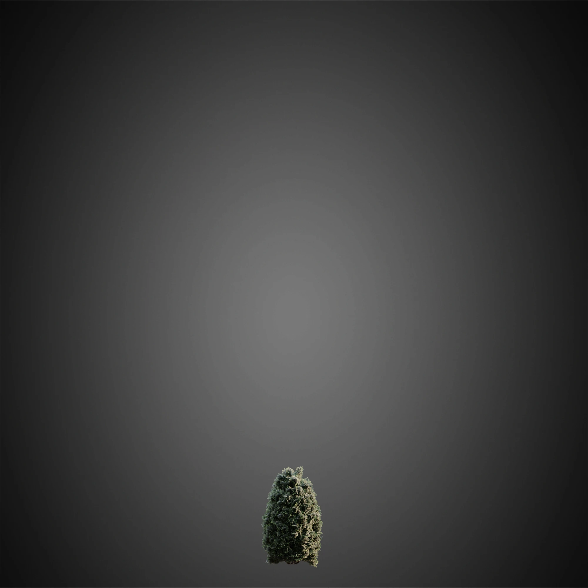 019 — Скачать