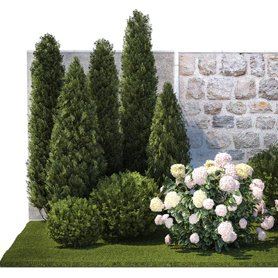 Collection of plants garden with bushes and trees for landscape design with thuja, cypress, flowering Hydrangea white. Set 1378. — Ver 4