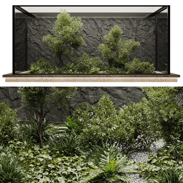 indoor plant set 50 — Скачать