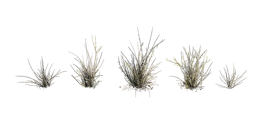 dead finish 001 — Скачать