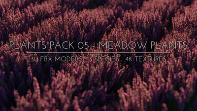 plants pack 005 meadow plants — download