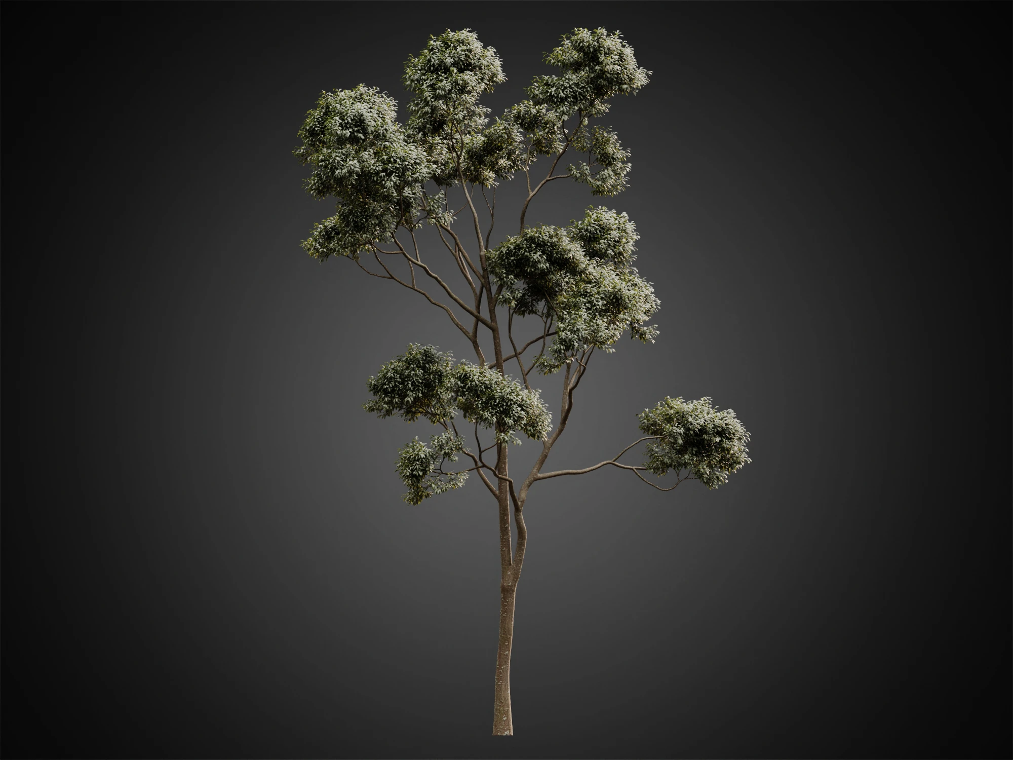 002 — Скачать