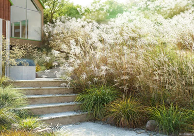 plant models vol 109 — download