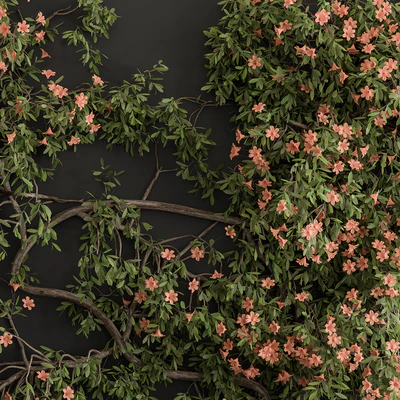 Outdoor Plant Set 426- Ivy on Wall — Ver 2