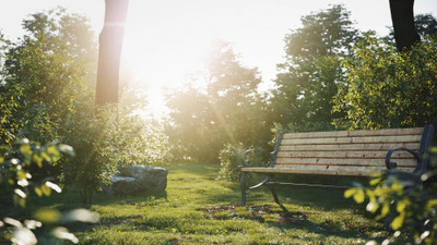 bushes hedges — download