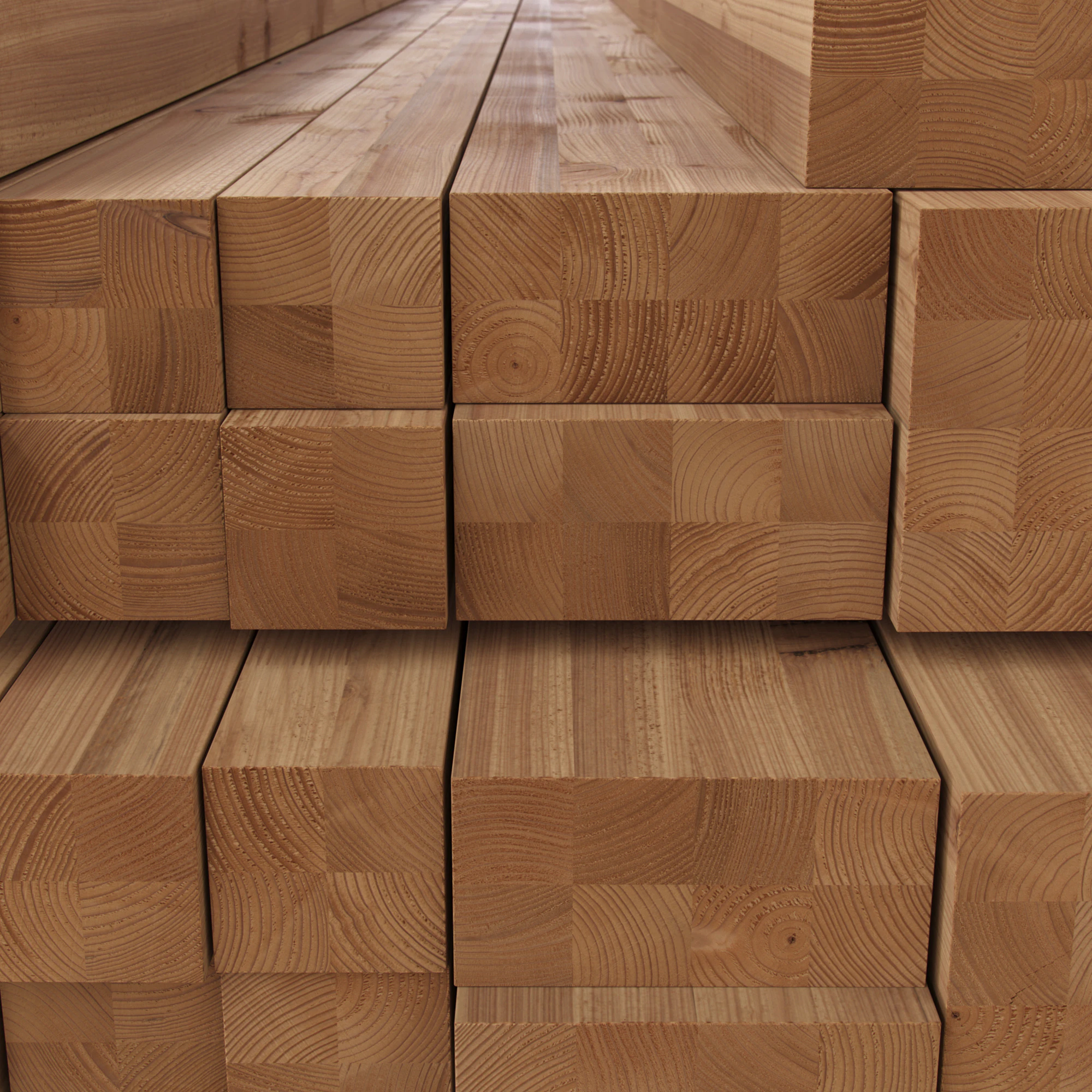 timber 038 — Download