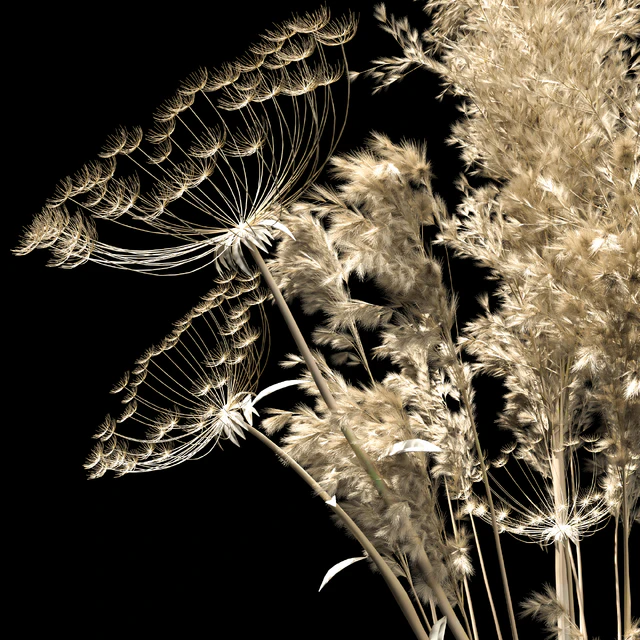 dried flowers — Скачать