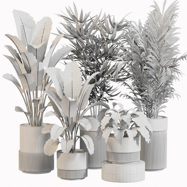 Indoor Plant Set 031 — Скачать