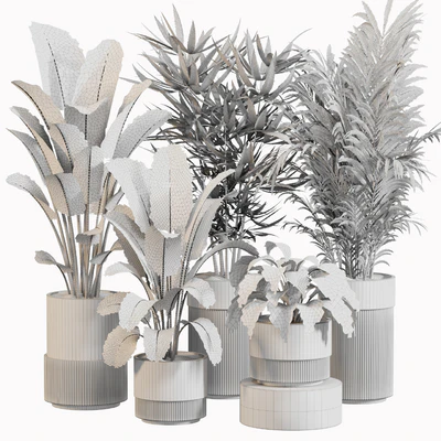 Indoor Plant Set 031 — Вид 4