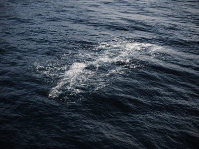 foam 001 — descargar