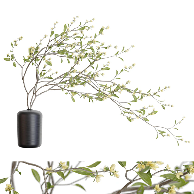 Bouquet 48 — Скачать