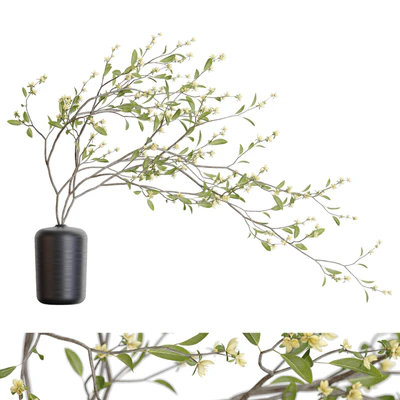 Bouquet 48 — descargar