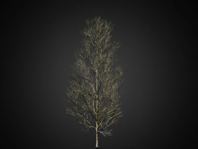 019 — скачать