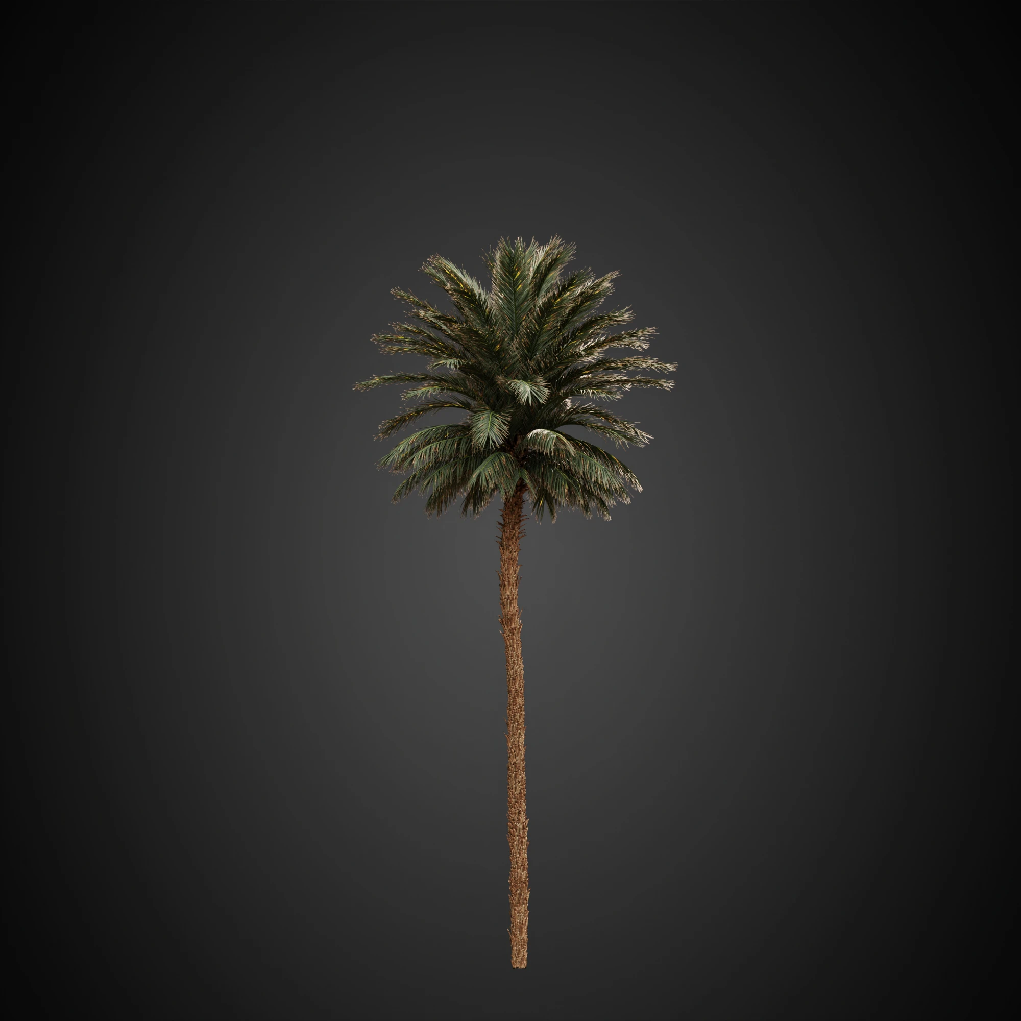 005 — Скачать