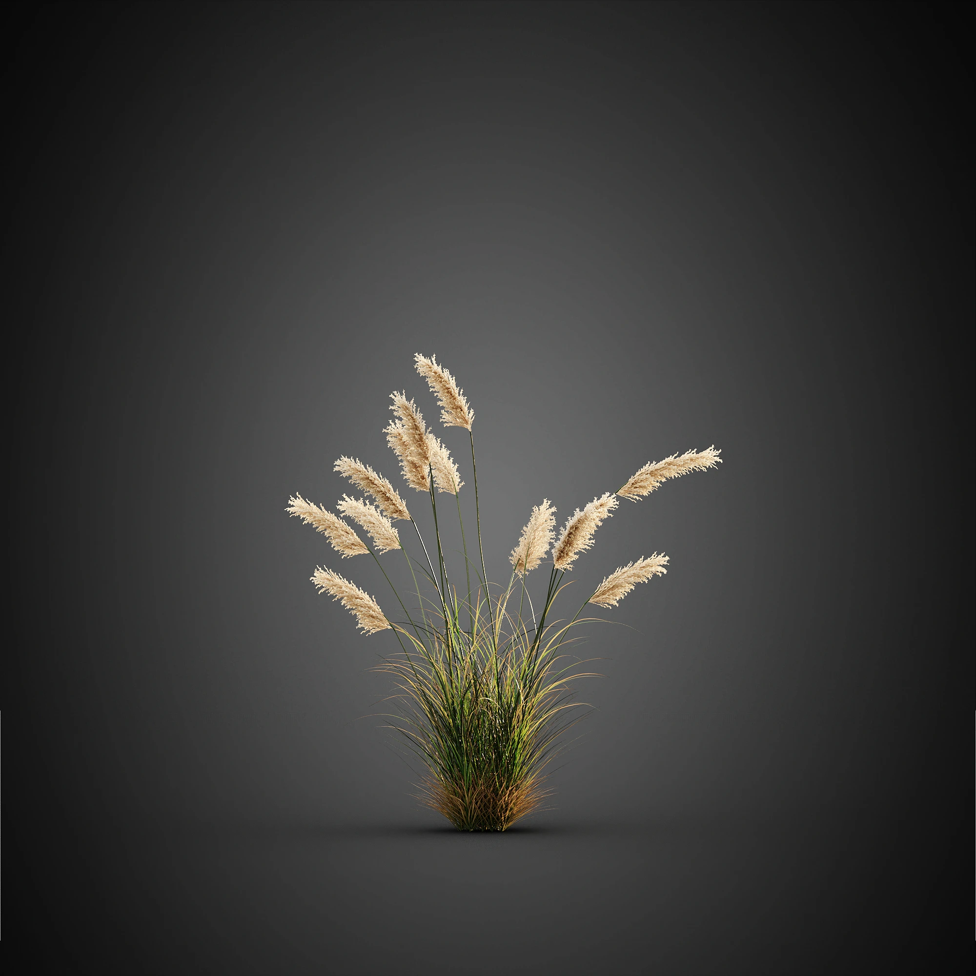 002 — Скачать