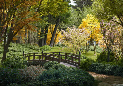 plant models vol 134 — download