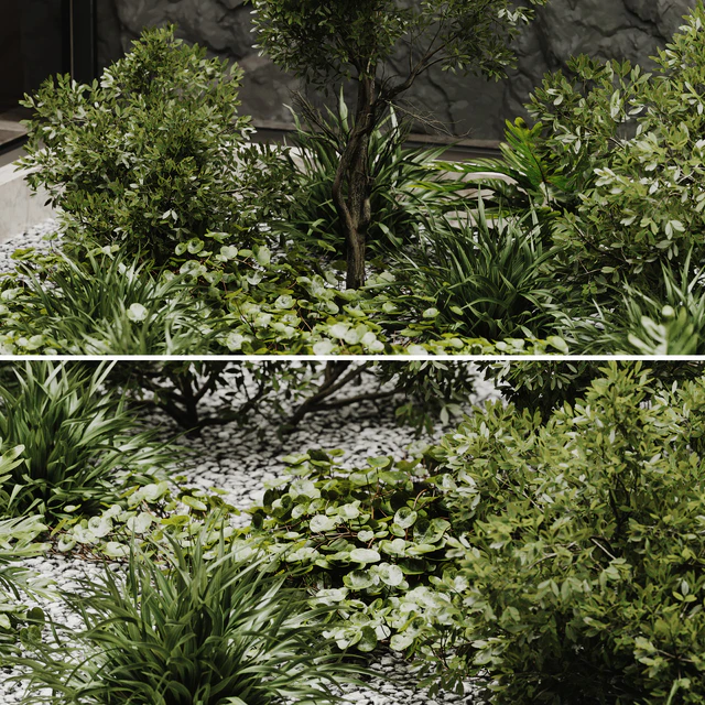 indoor plant set 50 — Скачать