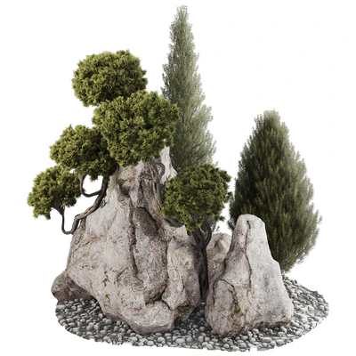 backyard and landscape pine tree garden and rocks 269 — Вид 3