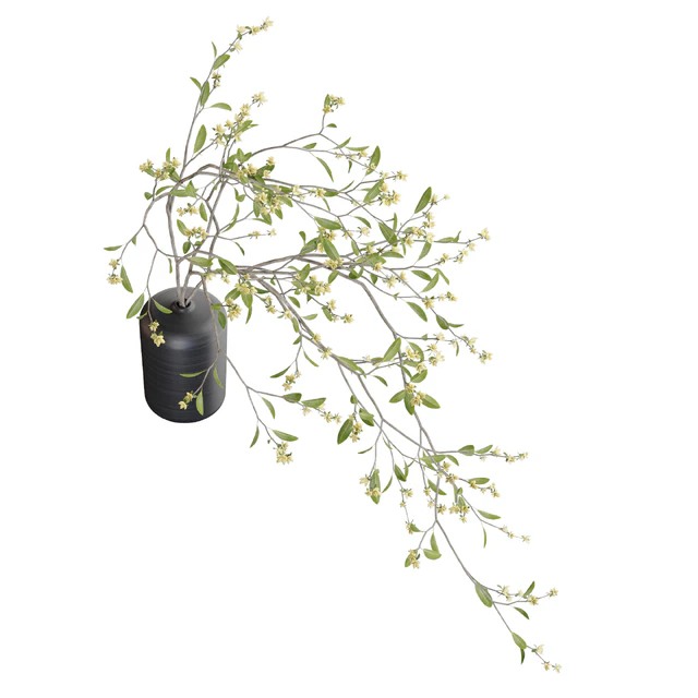 Bouquet 48 — Скачать