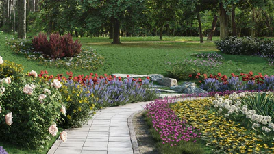 bushes flowers collection — download