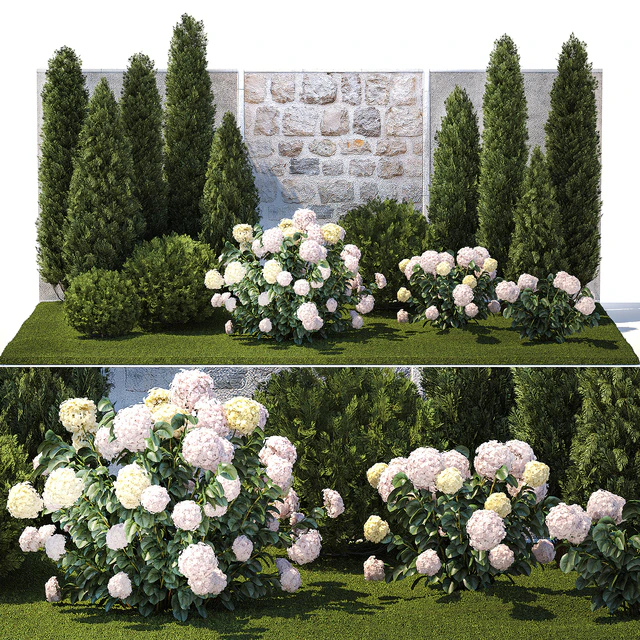Collection of plants garden with bushes and trees for landscape design with thuja, cypress, flowering Hydrangea white. Set 1378. — Descargar