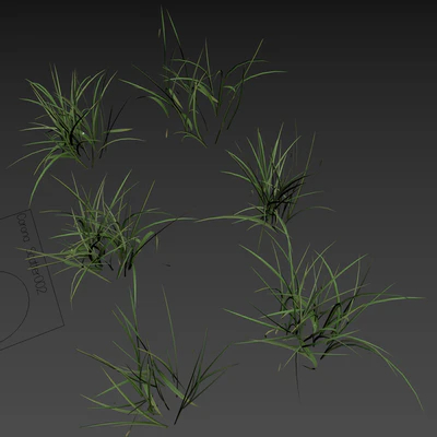 Field grass 02 — Ver 3