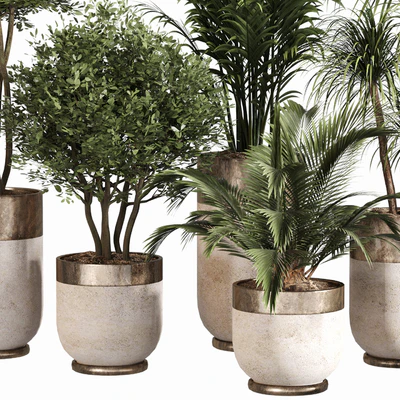 Indoor Plant Set 053 — Вид 2