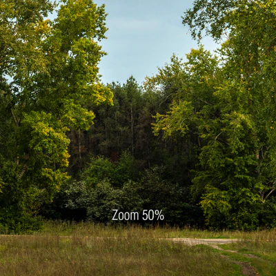 Панорамы с тополями — Вид 3