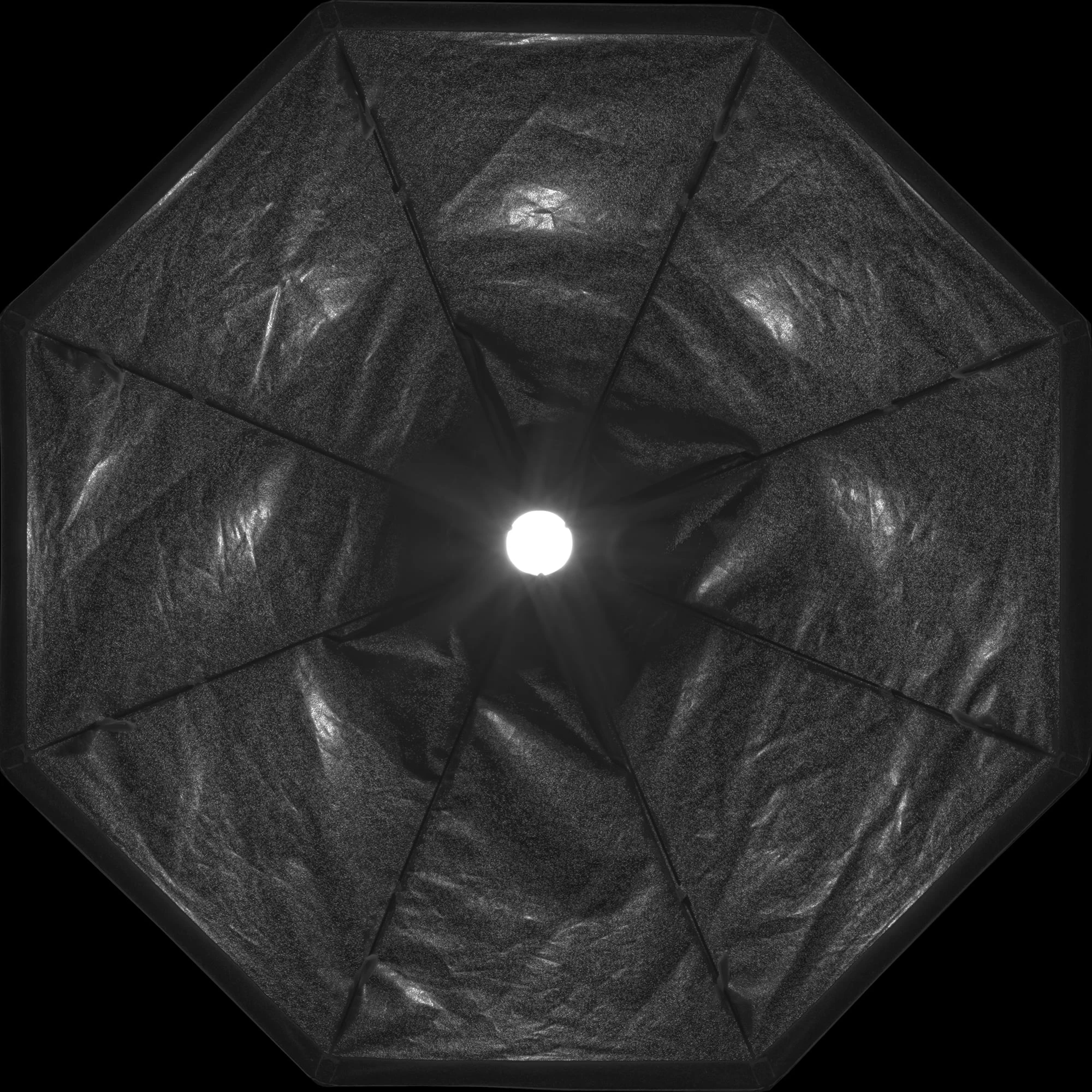 rls019 profoto softbox octa — Скачать