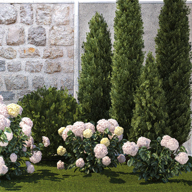 Collection of plants garden with bushes and trees for landscape design with thuja, cypress, flowering Hydrangea white. Set 1378. — Descargar