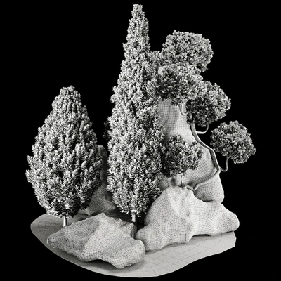 backyard and landscape pine tree garden and rocks 269 — Вид 4