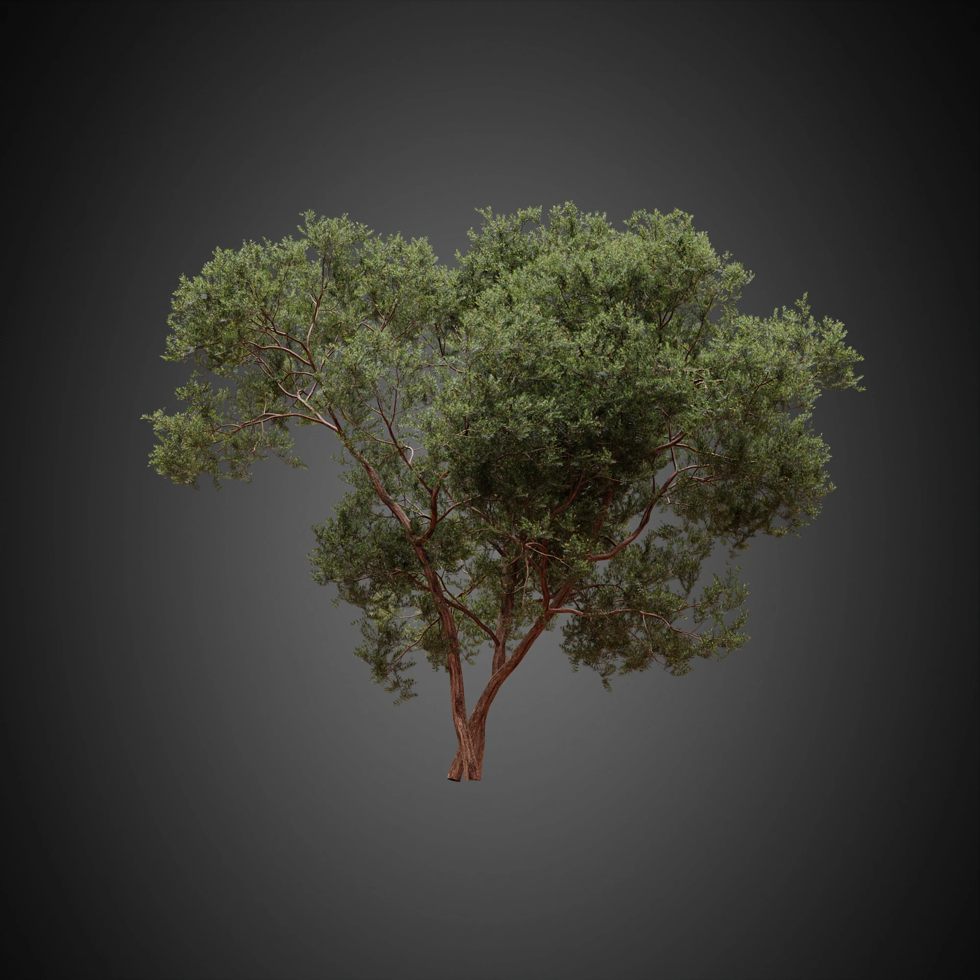 001 — Скачать